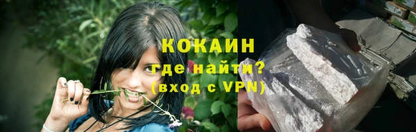 прущие грибы Белоозёрский