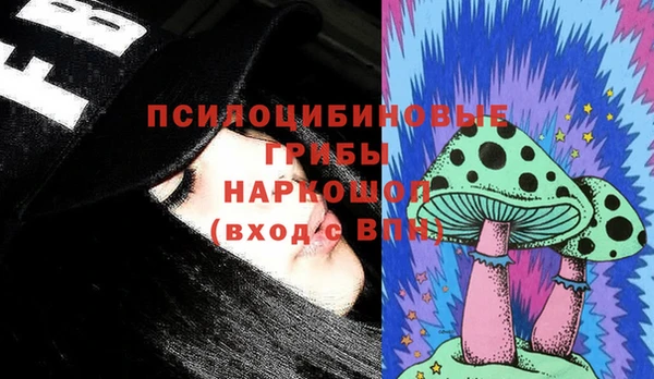прущие грибы Белоозёрский