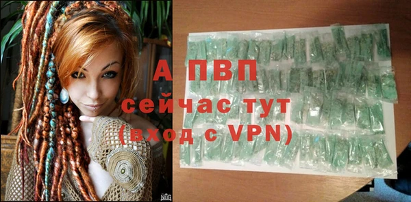прущие грибы Белоозёрский
