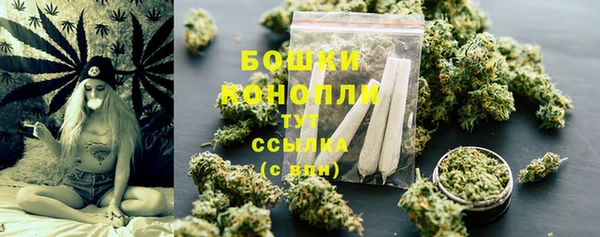 apvp Белокуриха