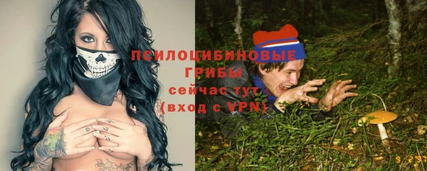 apvp Белокуриха