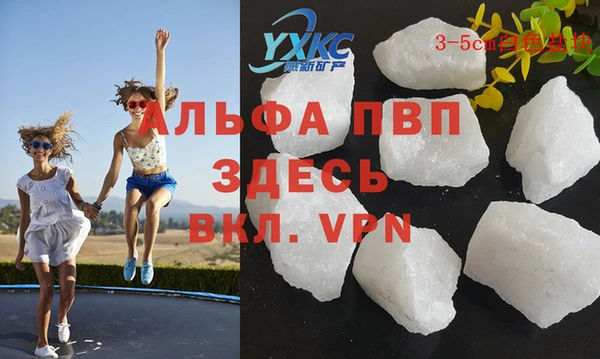 прущие грибы Белоозёрский