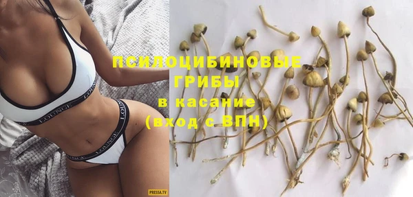 apvp Белокуриха