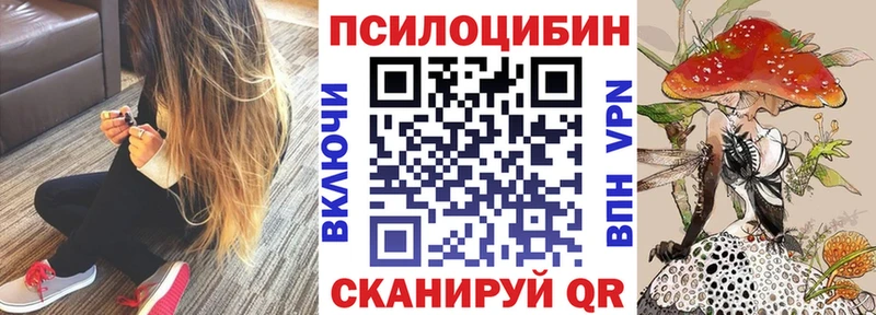 mega рабочий сайт Кулебаки Псилоцибиновые грибы мицелий